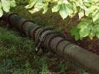 afwatering